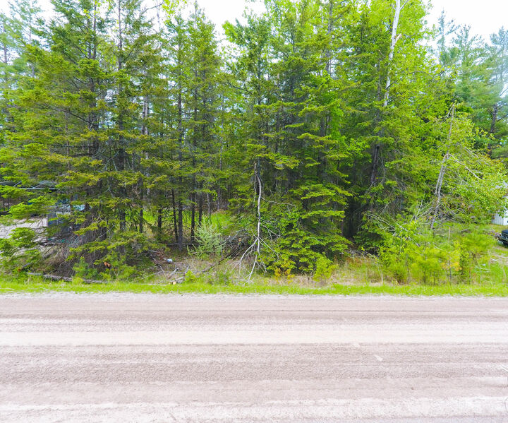 13236 N Shore Drive  Millersburg MI 49759 photo