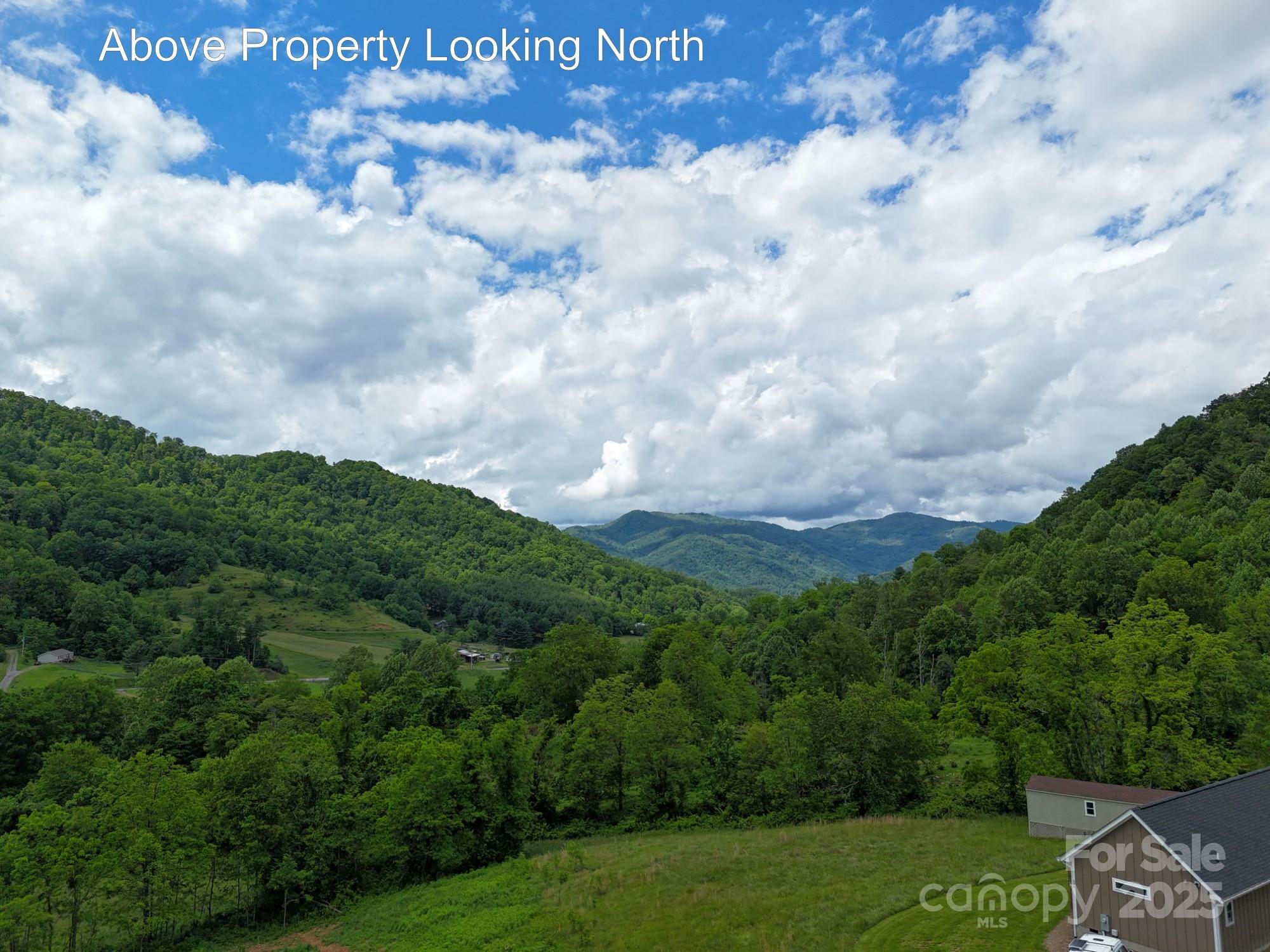 Property Photo:  280 Split Pine Cove  NC 28721 