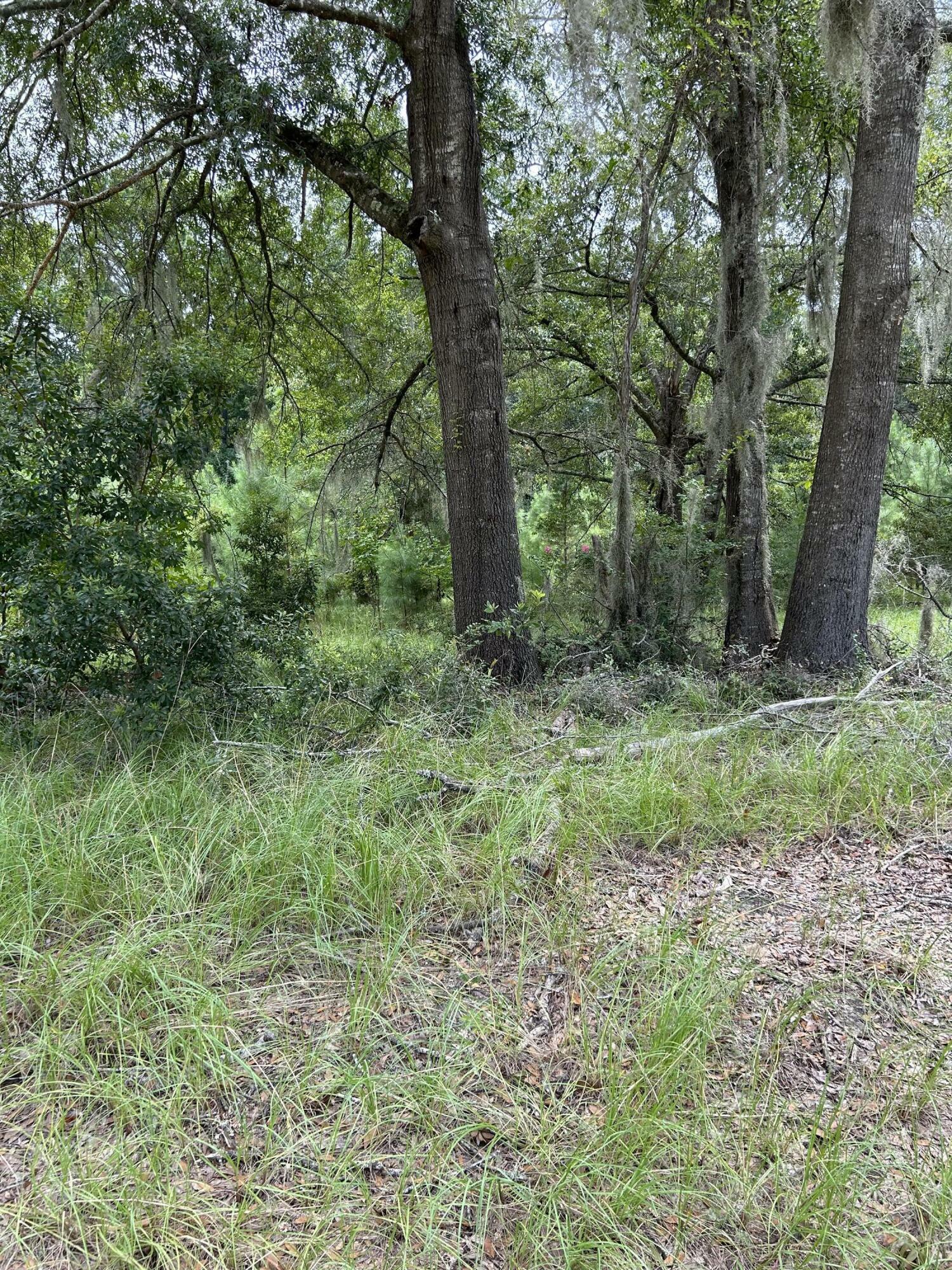 Property Photo: 1476 Hezkiah Road SC 29487