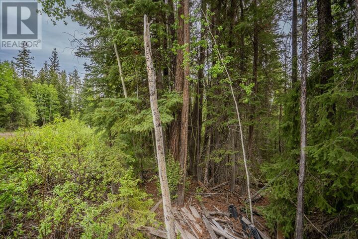 Property Photo:  Lot 88 Julsrud Road  BC V0K 1X3 