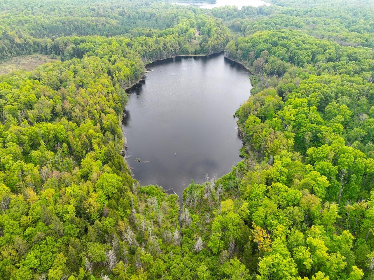 Property Photo: 8677N Davis Rd WI 54534