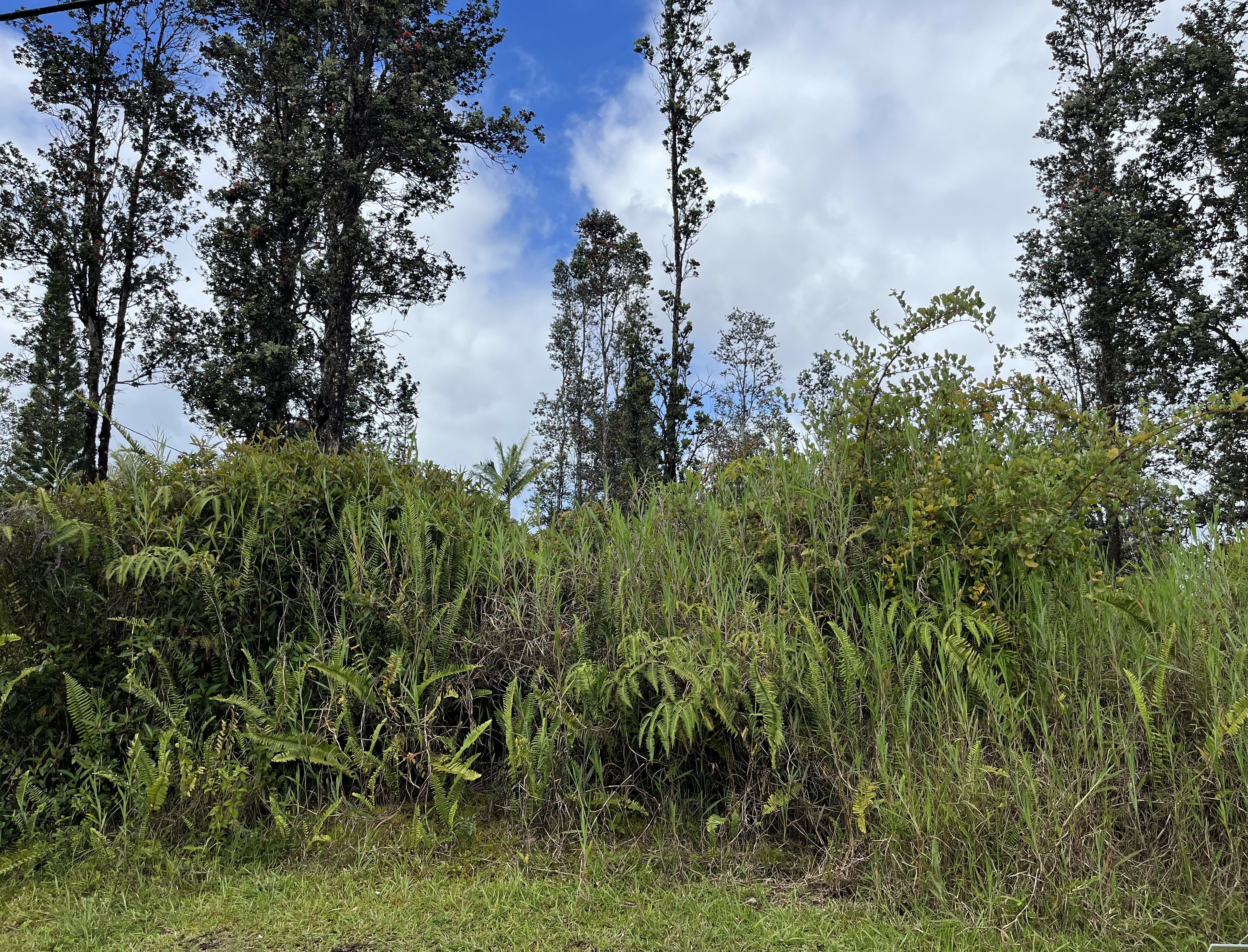 Property Photo: Lehua St HI 96771