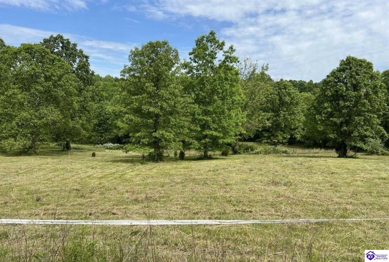 Property Photo: Lot 1 Constantine Road KY 42724