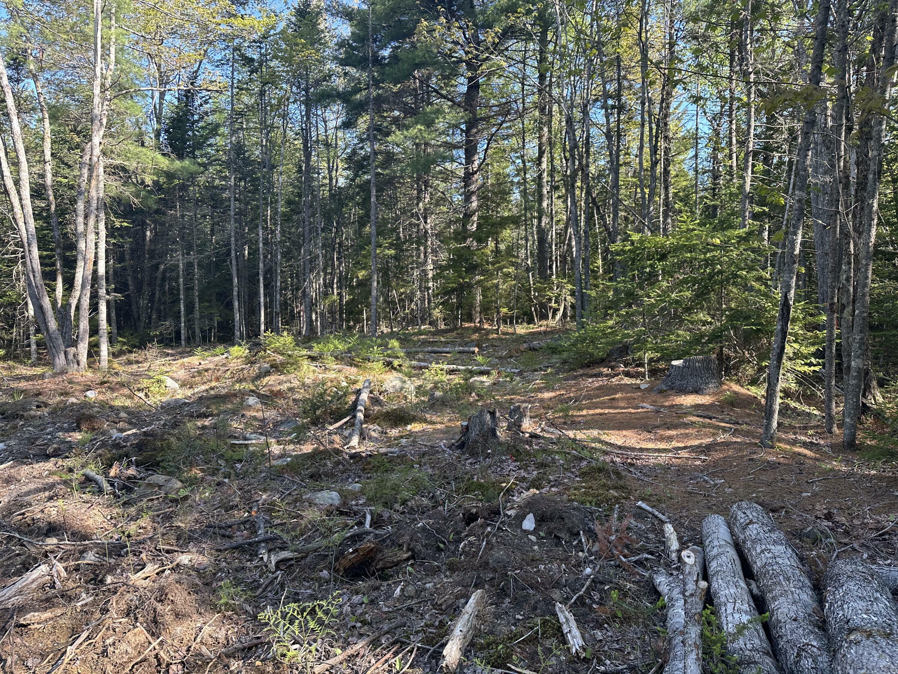 Property Photo: 61 Gerards Trail Trail ME 04614