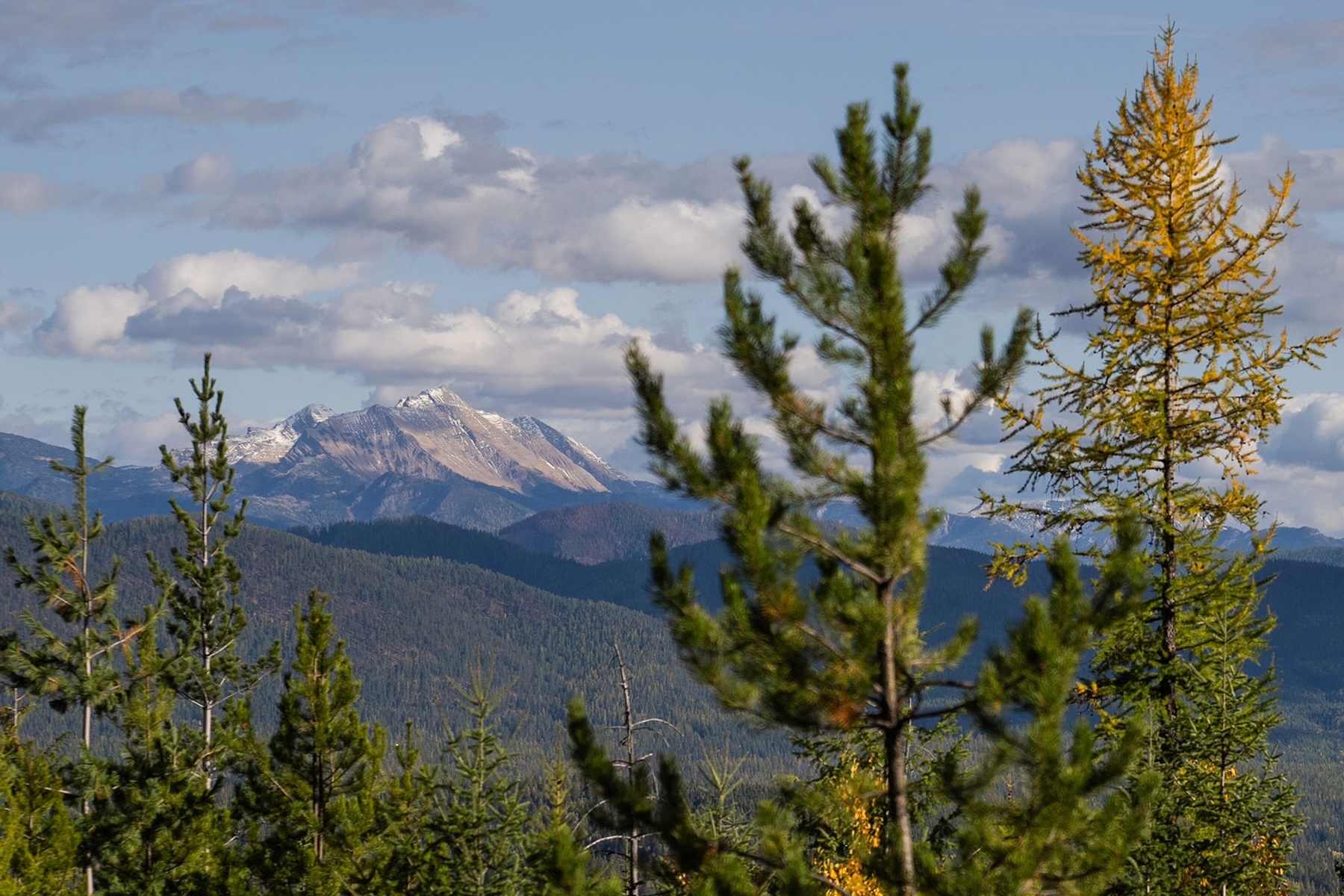 Property Photo: 6024 Teakettle Road MT 59912