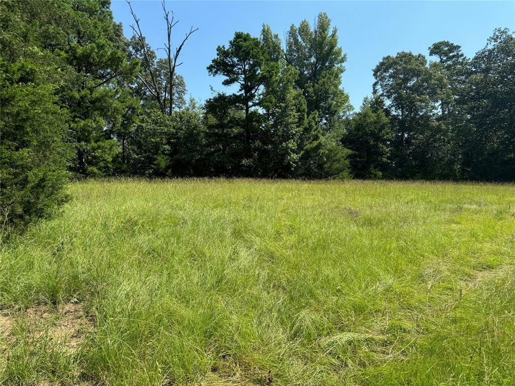 Property Photo:  00 Couty Road 4426  TX 75494 