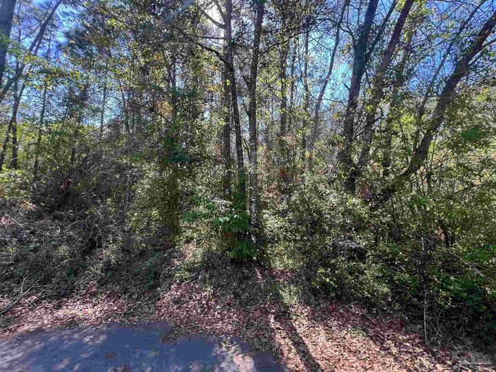 Property Photo:  2225 Northbury Ct  FL 32526 