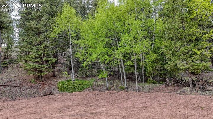 Property Photo:  918 Pinion Lane  CO 80813 