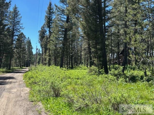 Property Photo: 3521 Pine Cone Drive 3521 ID 83420