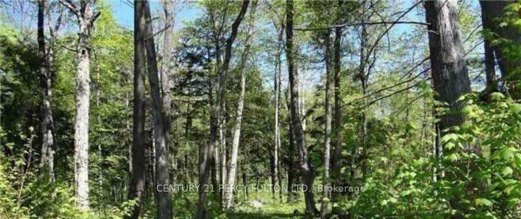 Property Photo:  94 Nippissing Ridge Road  ON L9M 0H6 
