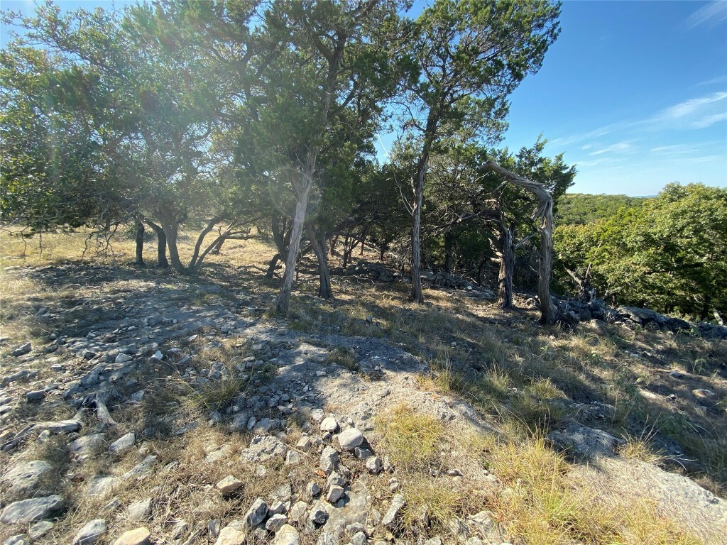 Property Photo: 1350 Serenity Drive TX 78623
