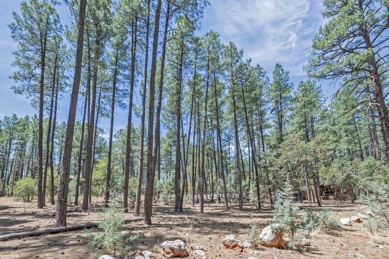Property Photo: Lot 138 Marcy Way AZ 85544