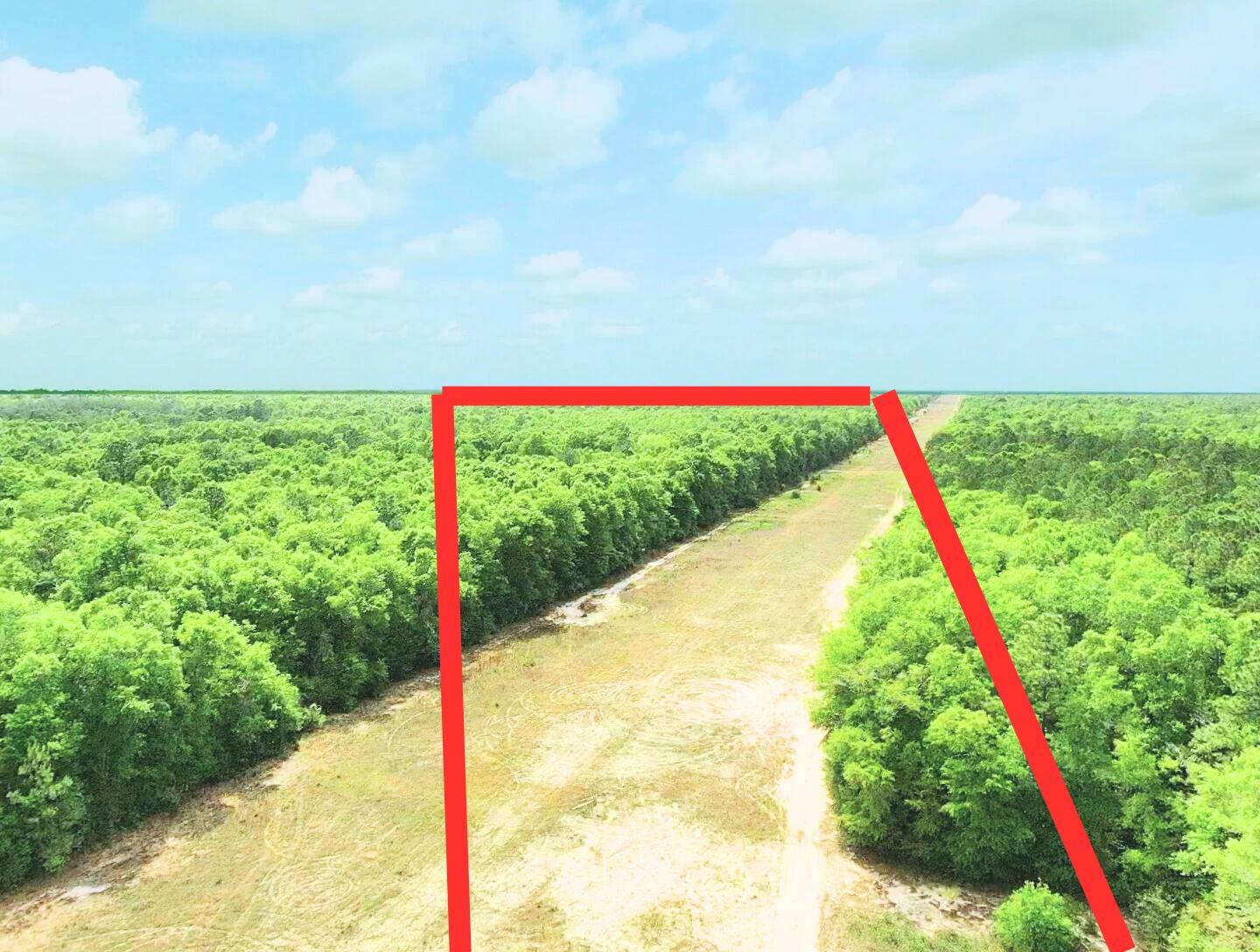 Property Photo: 7.97 Acres Lake Ella Rd Road FL 32539