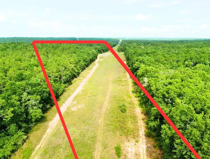 Property Photo: 7.97 Acres Lake Ella Rd Road FL 32539