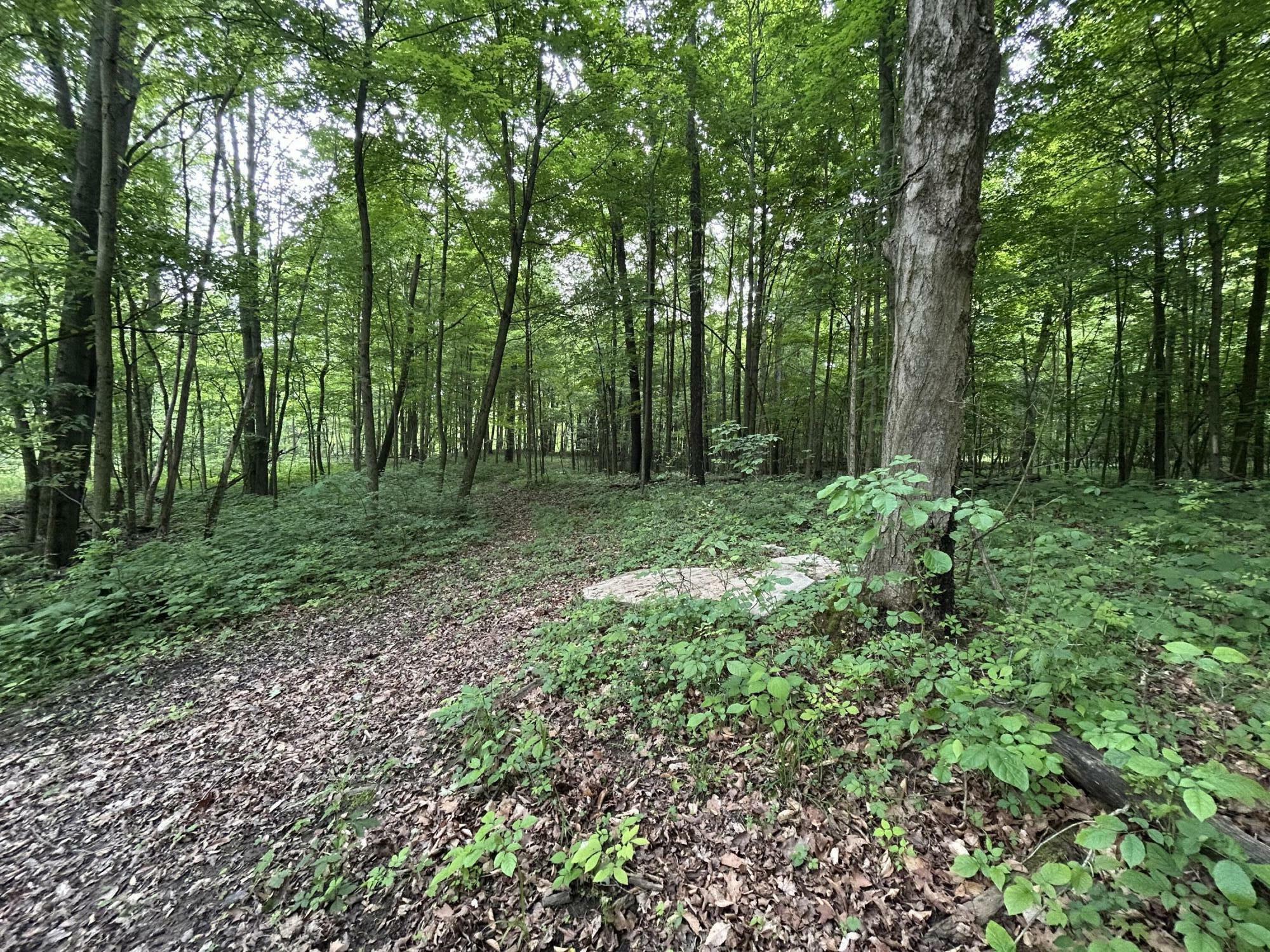 Property Photo:  1687 Dimmers Road  MI 49274 