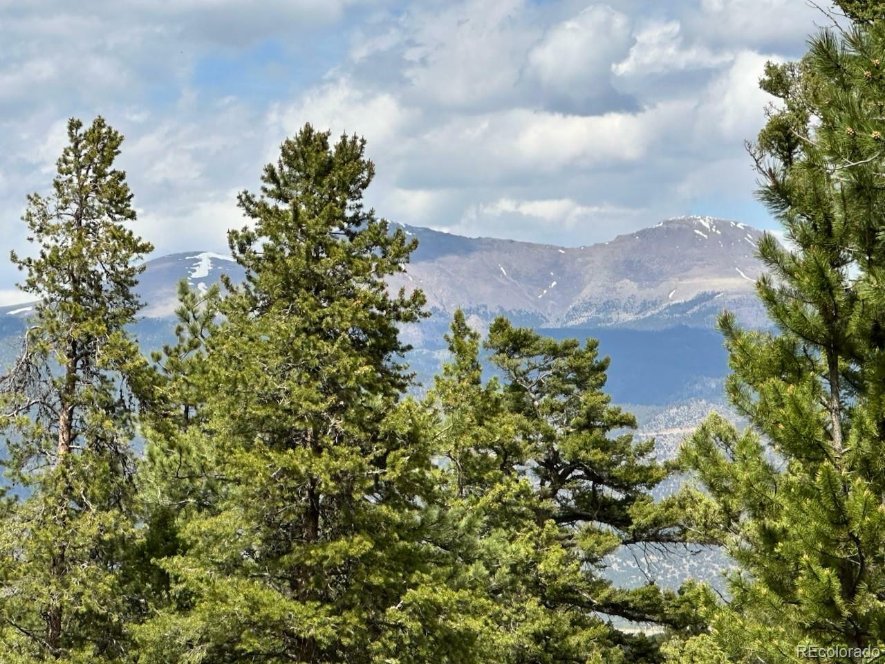 Property Photo: 30385 National Forest Drive CO 81211