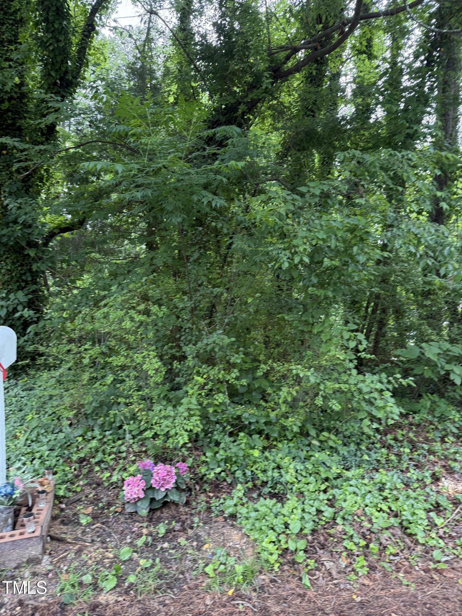 Property Photo: 00 High Street NC 27536