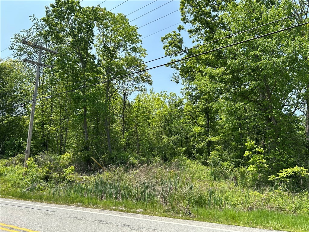 Property Photo:  736 N Branch Rd  PA 15057 