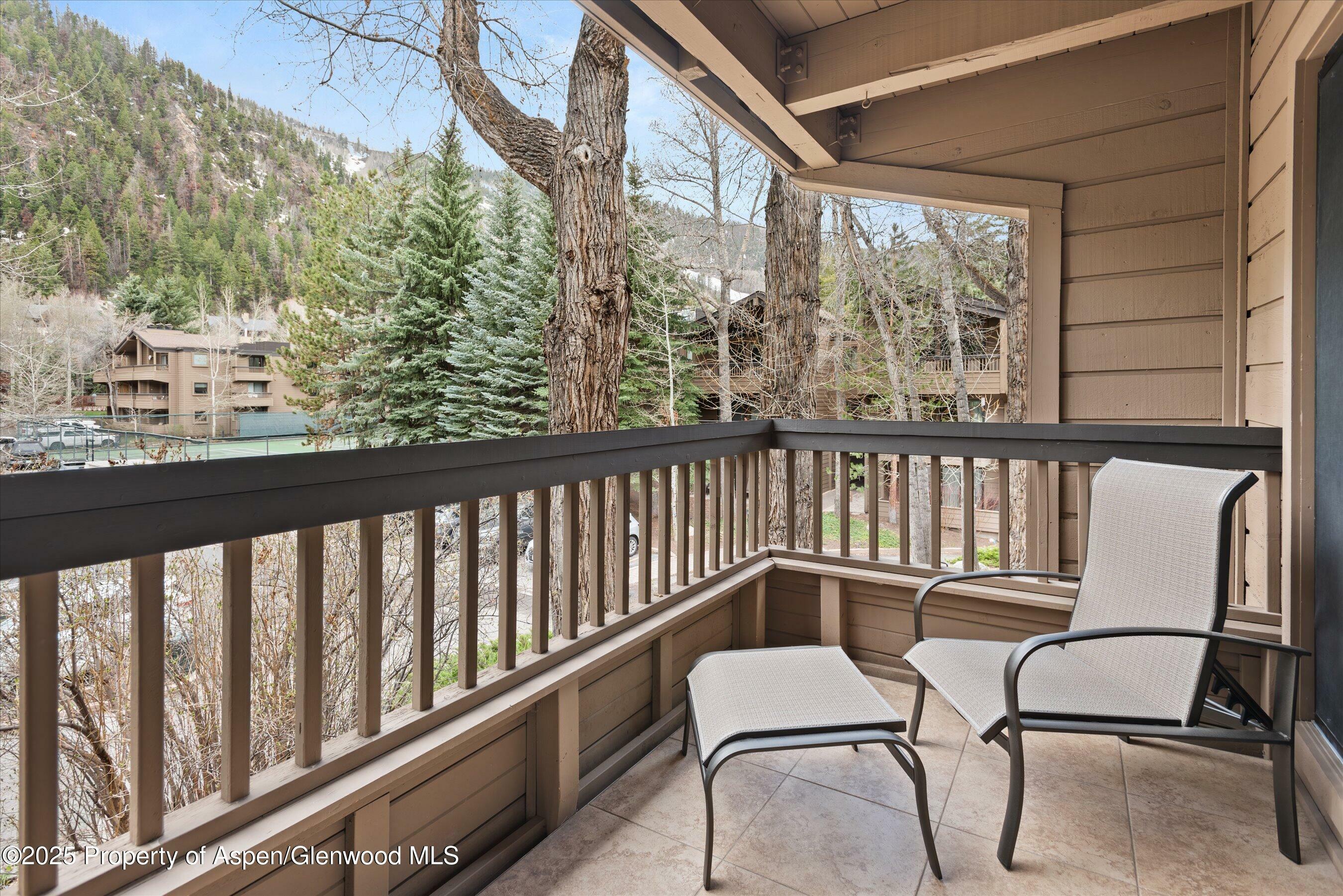 Property Photo: 610 S West End Street D203 CO 81611