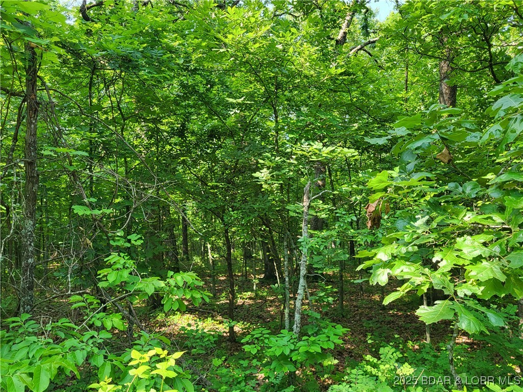Property Photo: Kean Lane Lot 2371 MO 65326