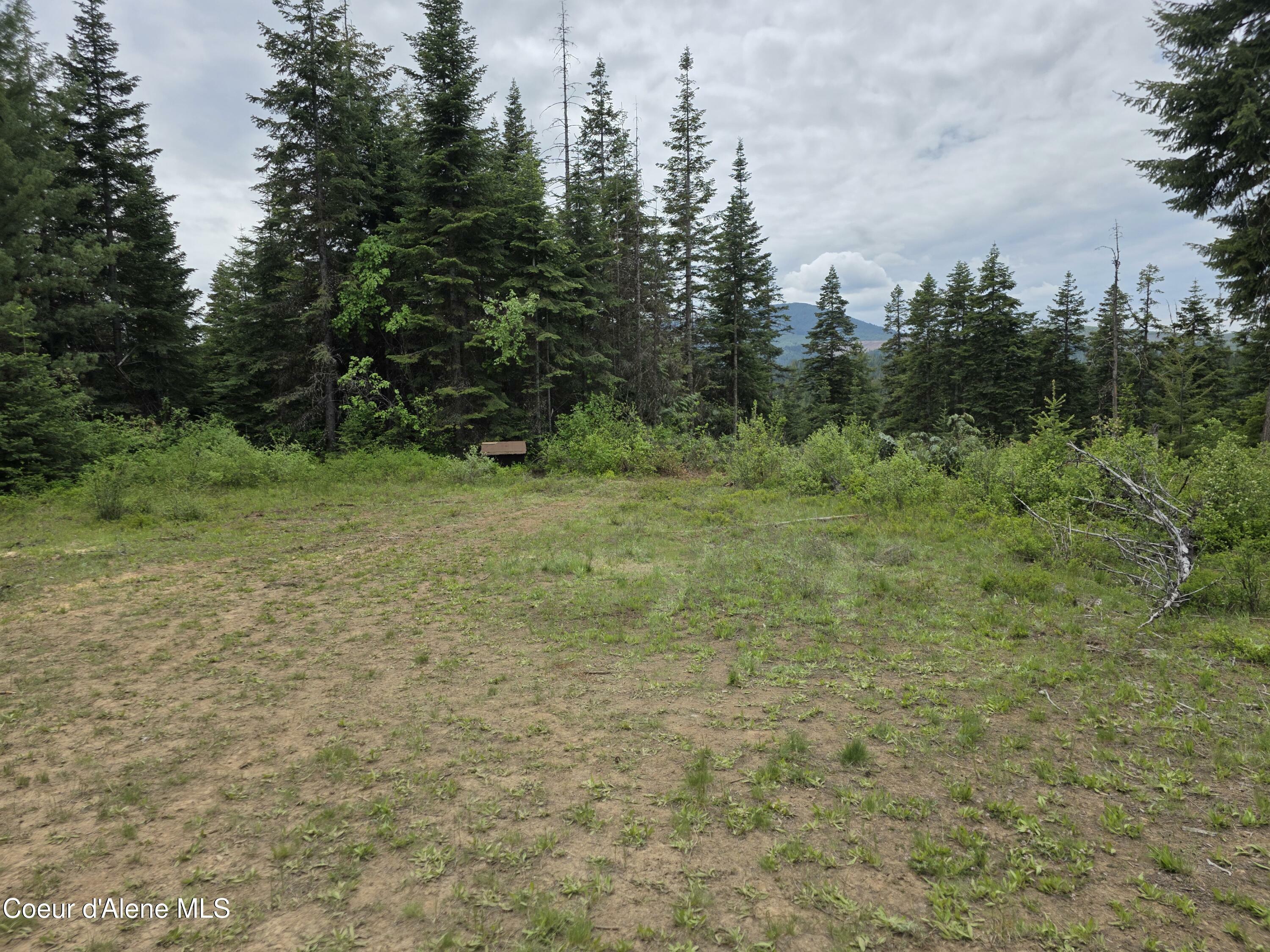 Property Photo: 125 Cottage Lane ID 83861