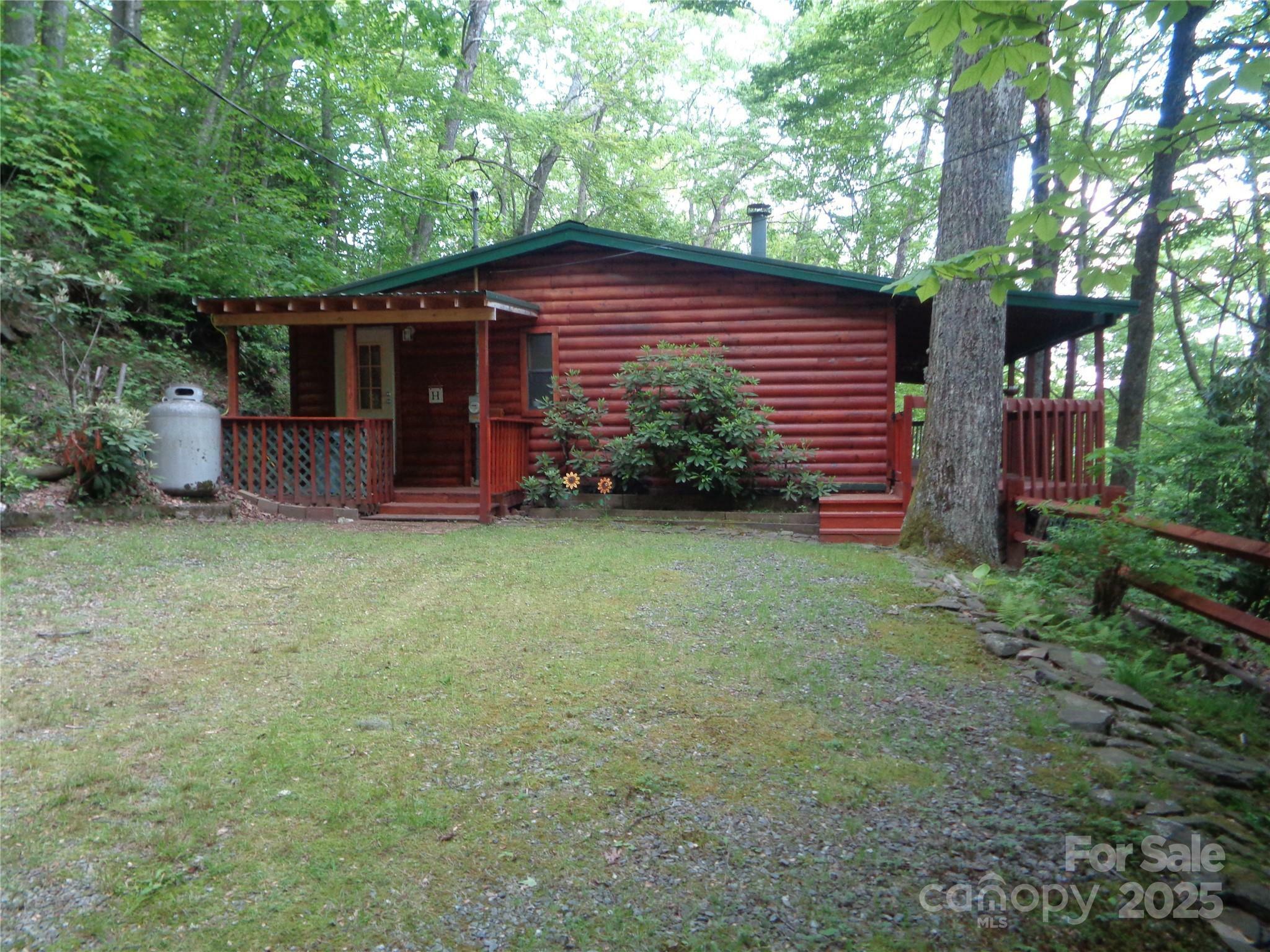 Property Photo: 31 Serendipity Trail NC 28751