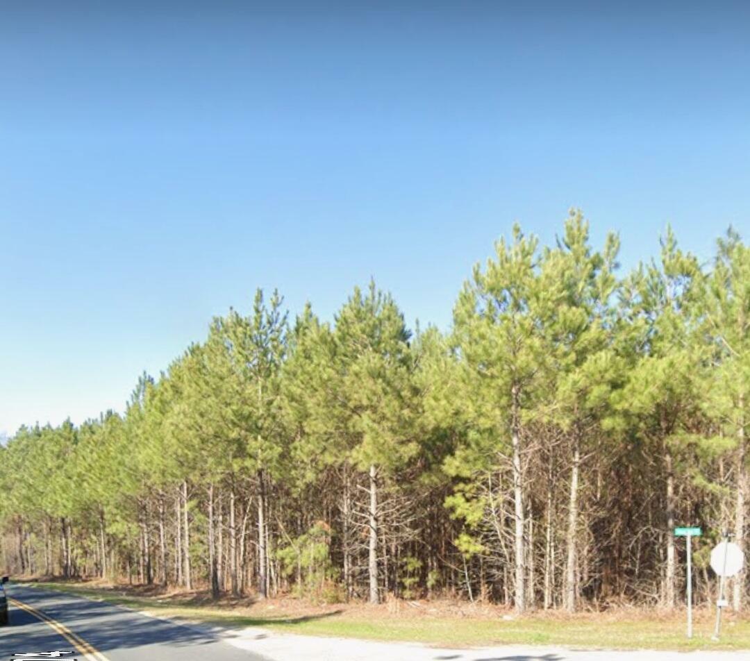 Property Photo: 00 Coach Road SC 29059