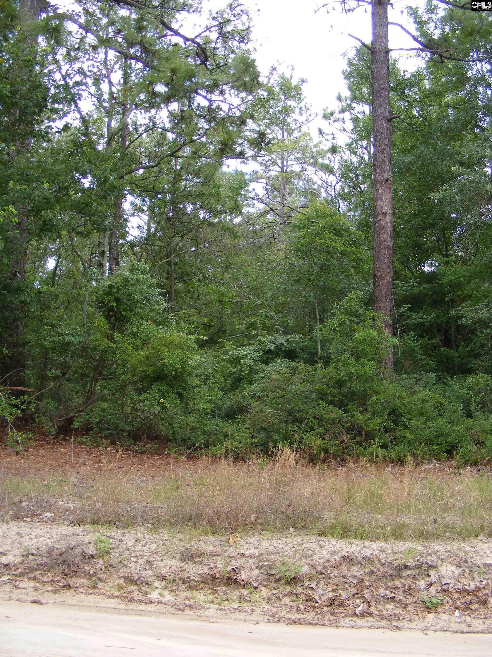 Property Photo:  412 Sells  SC 29123-0000 