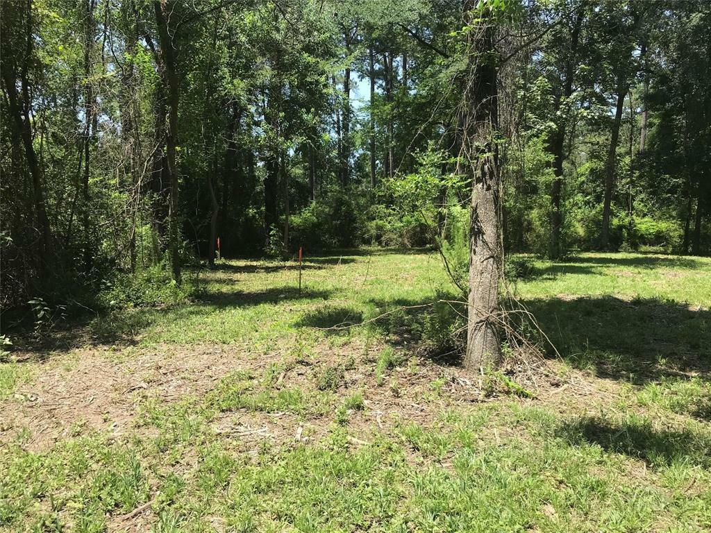 Property Photo: 15319 Veranda Oaks TX 77384
