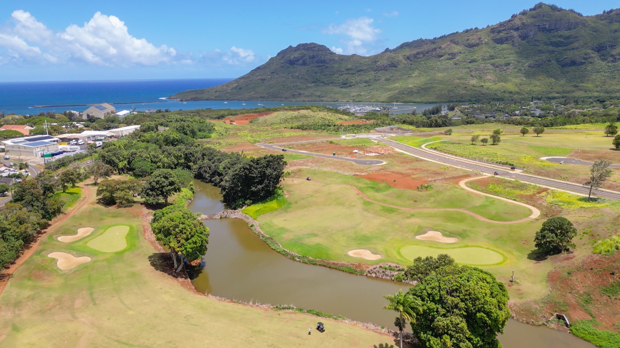 Unknown  Lihue HI 96766 photo