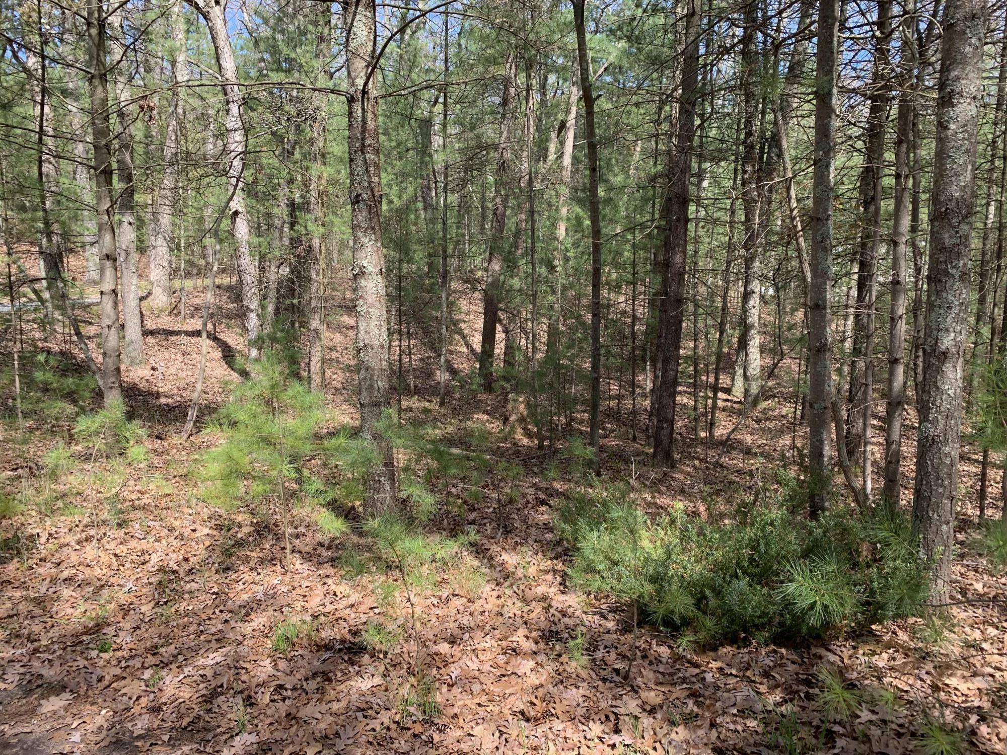 Property Photo: Lenox Avenue MI 49449