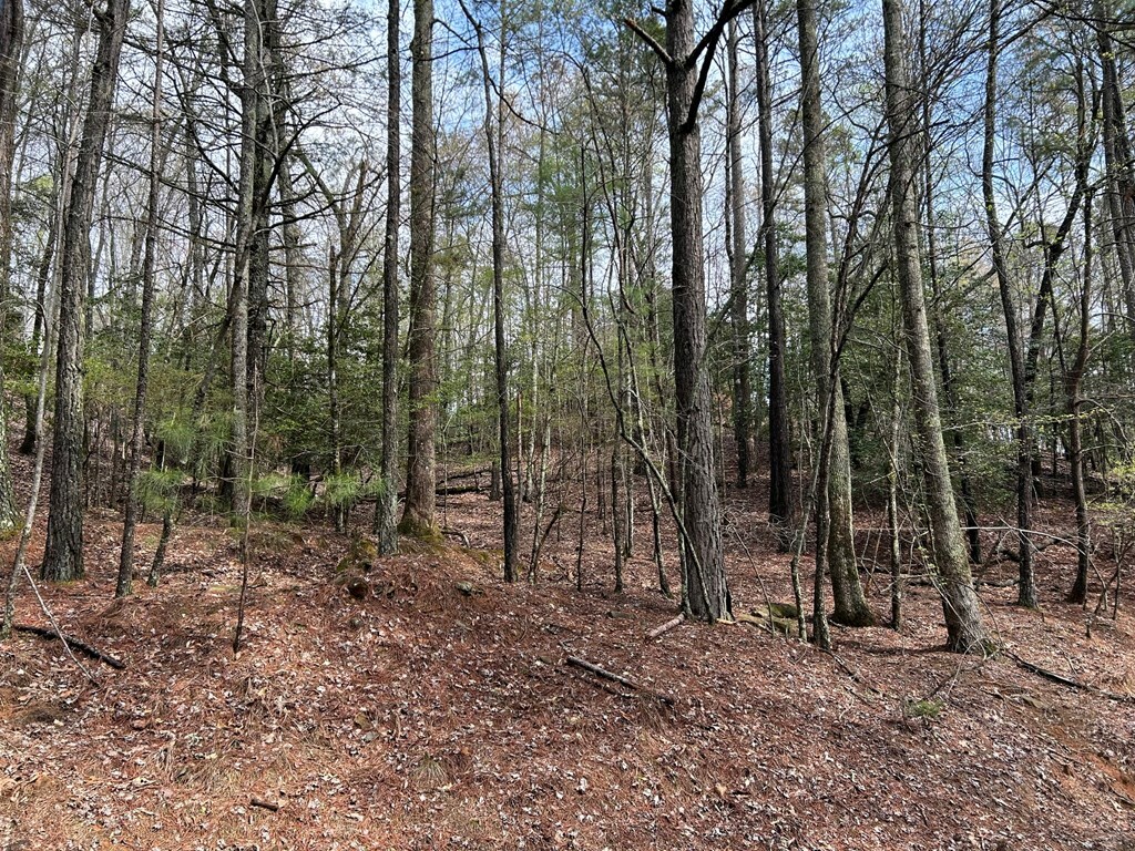 Property Photo:  Lt2788 Medina Court  GA 30540 
