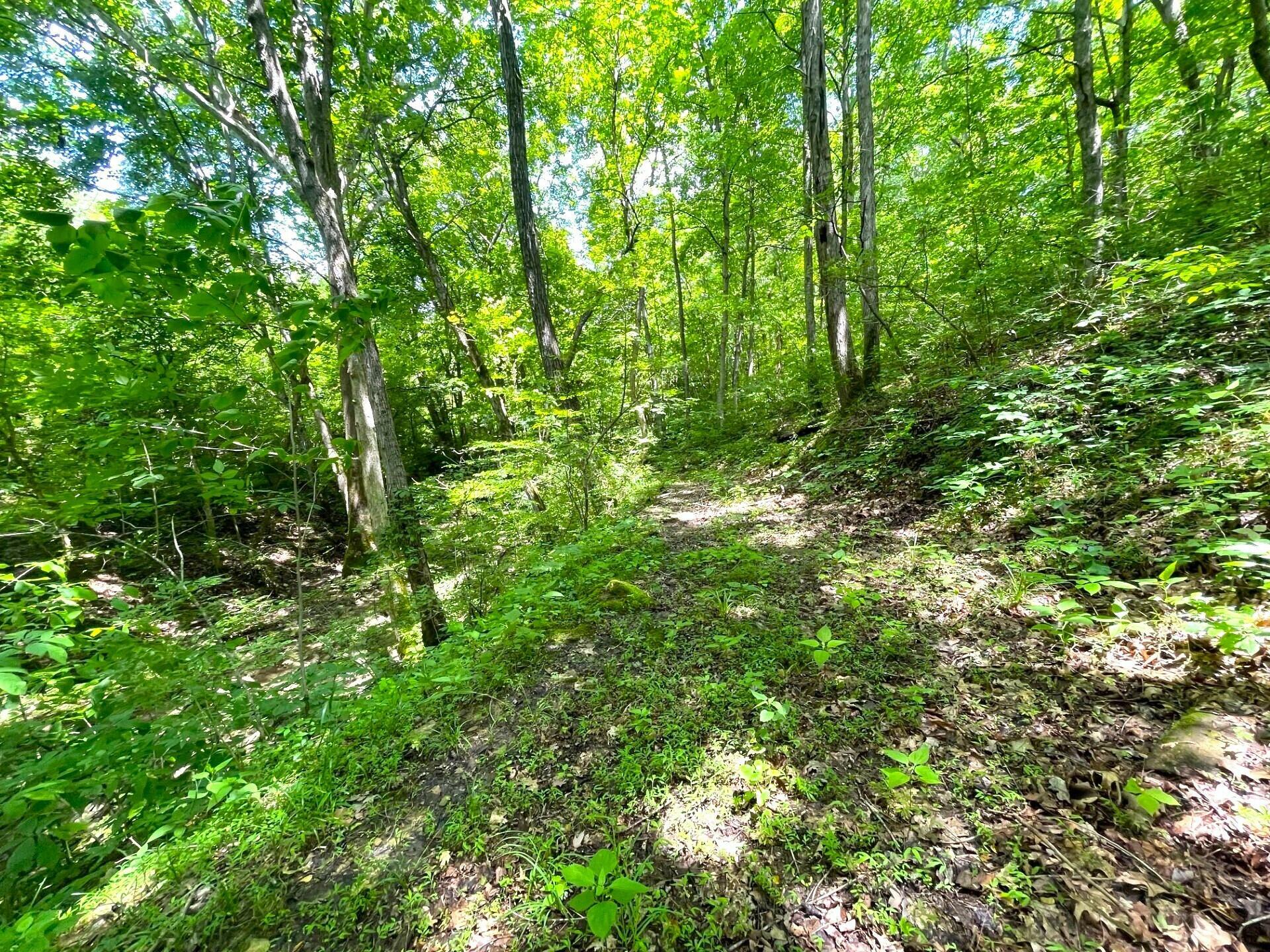 Property Photo: 0 Lenoxburg Foster Road KY 41043
