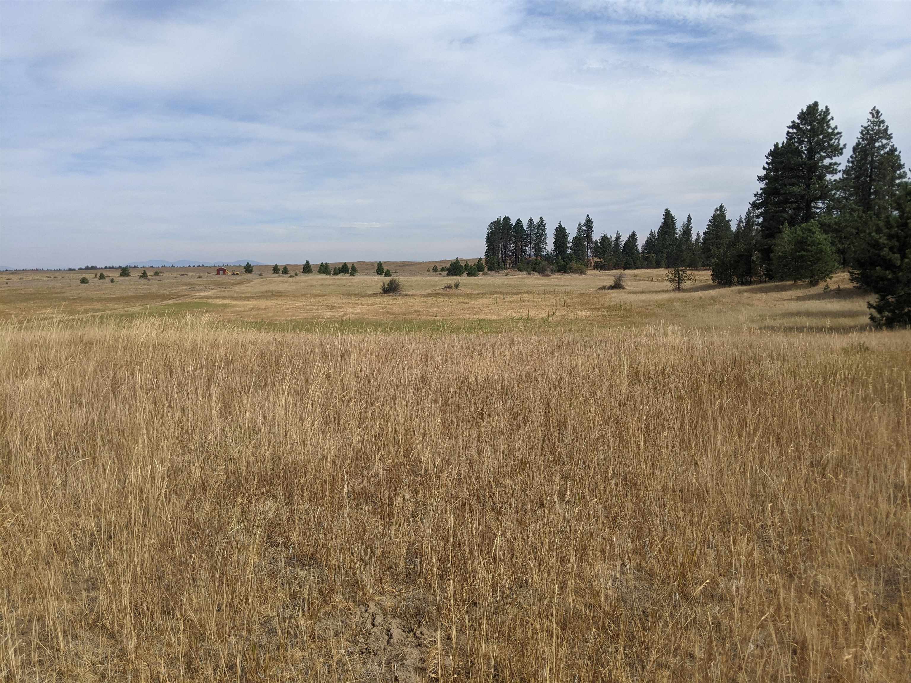 Property Photo: 25073.9047 Unassigned Address Rd WA 99224