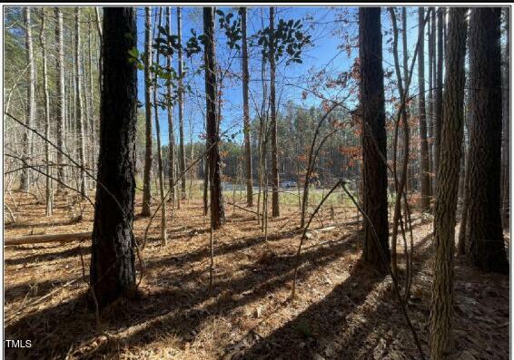 Property Photo: 586 Anneliis Lane NC 27344