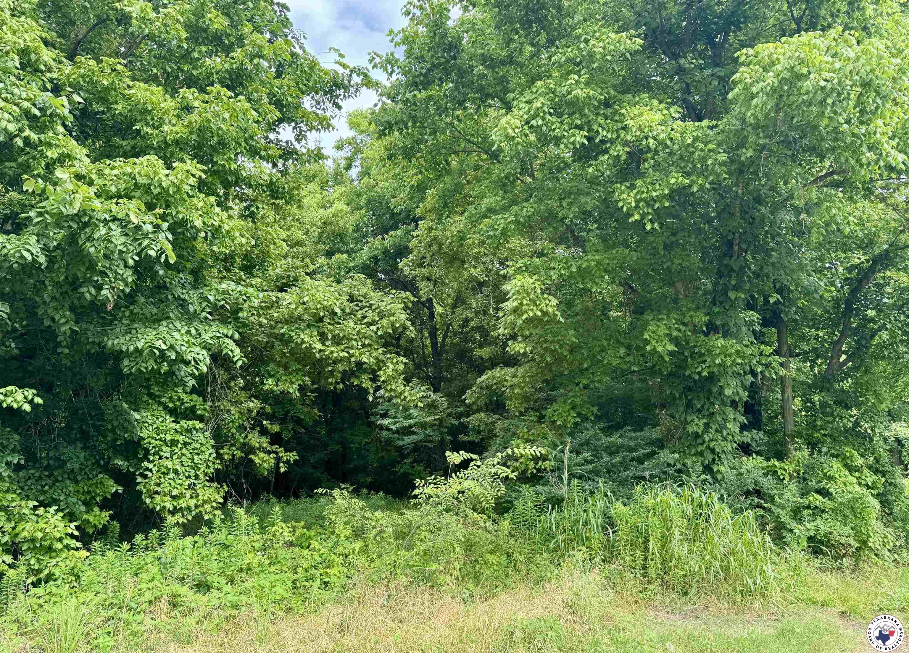Property Photo: 1801 S Lake Dr TX 75501