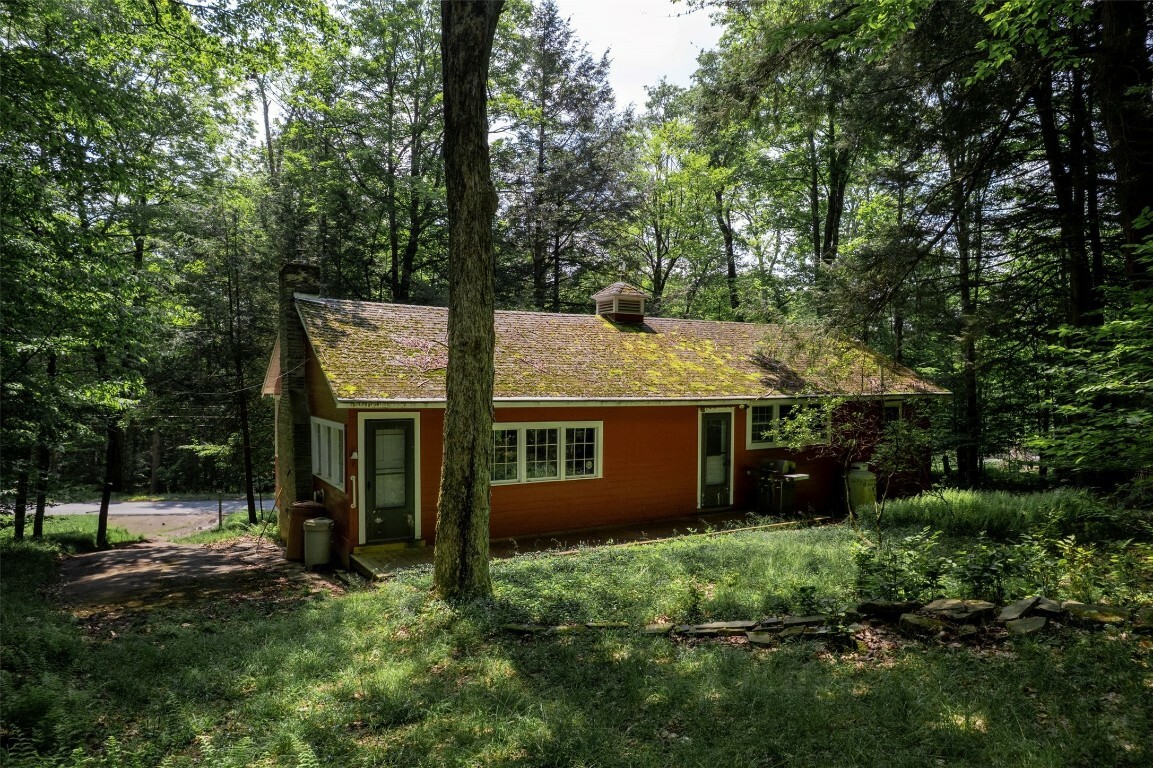 95 & 96 Hanson Road  Deposit NY 13754 photo