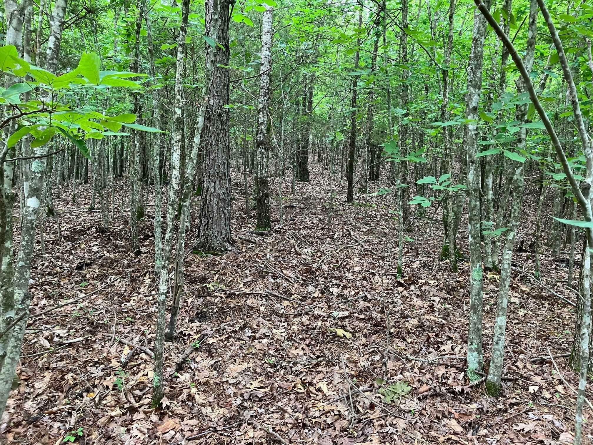 Property Photo: Tbd Tract 1 Thompson Creek Lane AR 71953