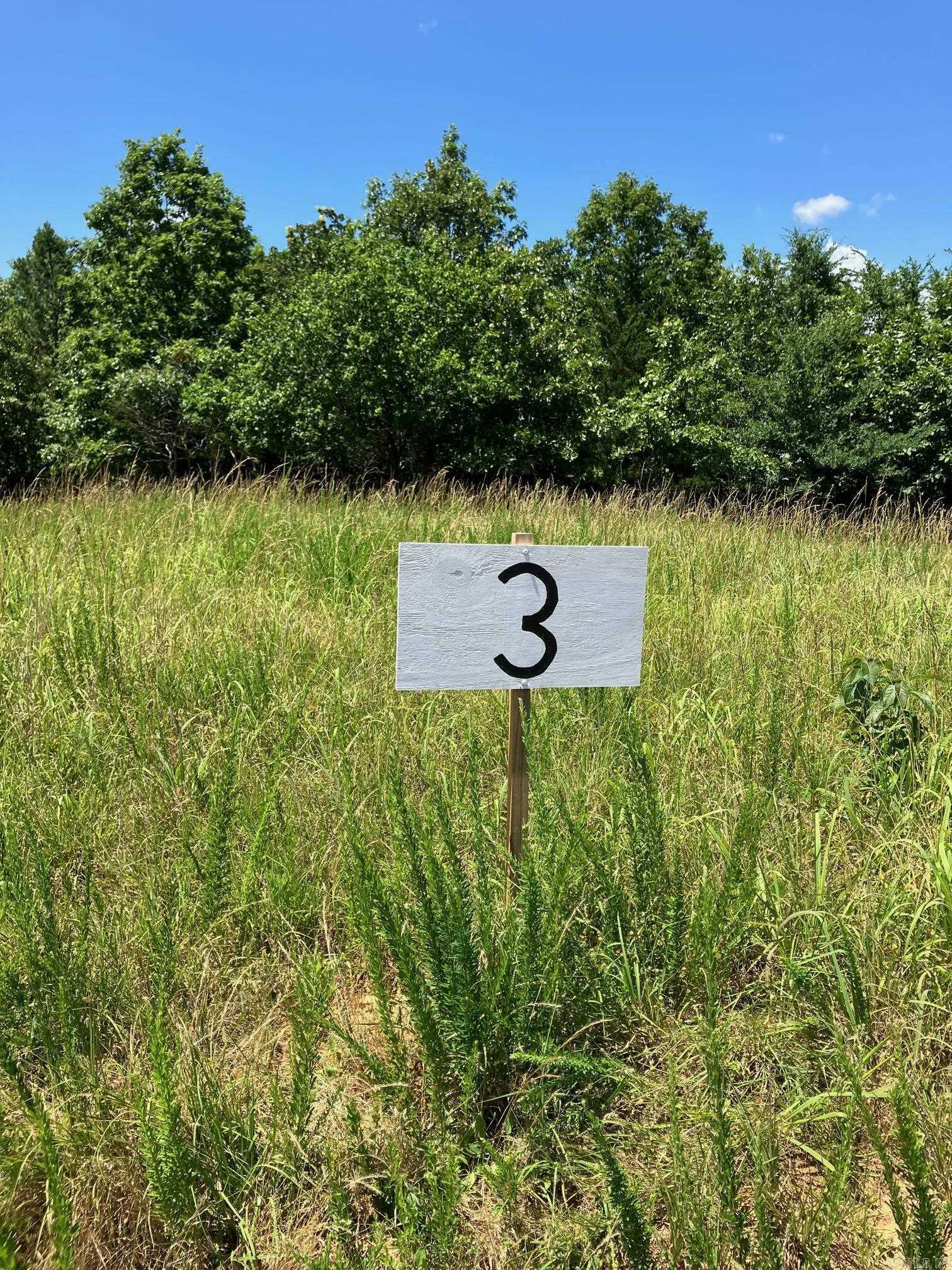 Property Photo: Tbd Tract 3 Thompson Creek Lane AR 71953