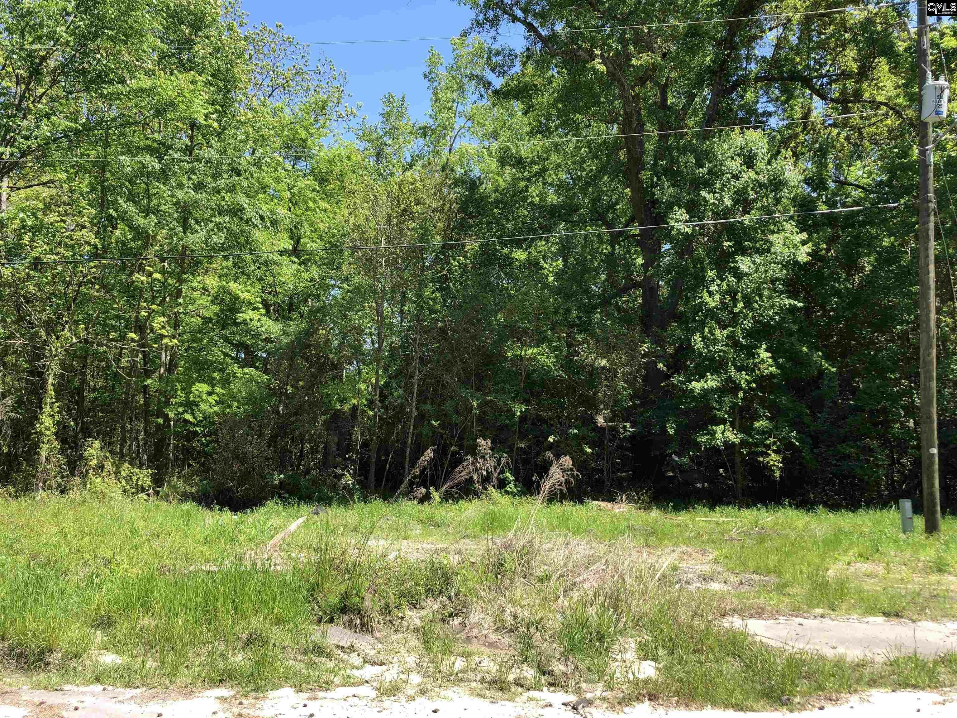 Property Photo: 0 Cypress SC 29042