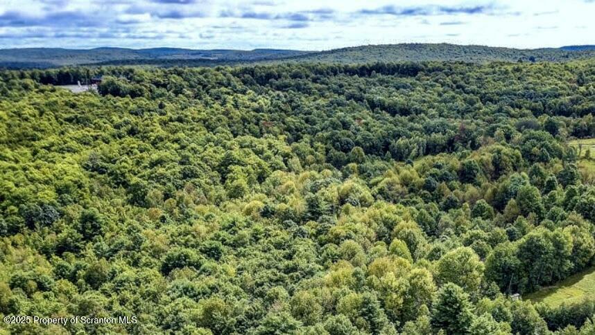 Property Photo: 20668 State Route 171 Route PA 18847