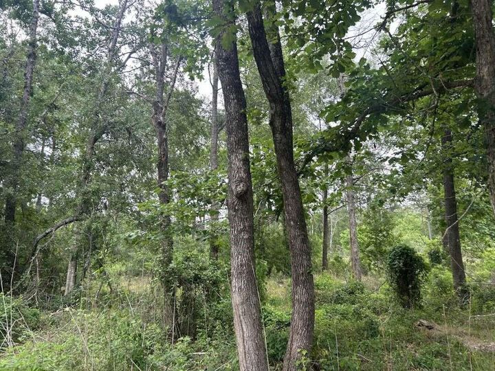 195 Greathouse Street  Vidor TX 77662 photo