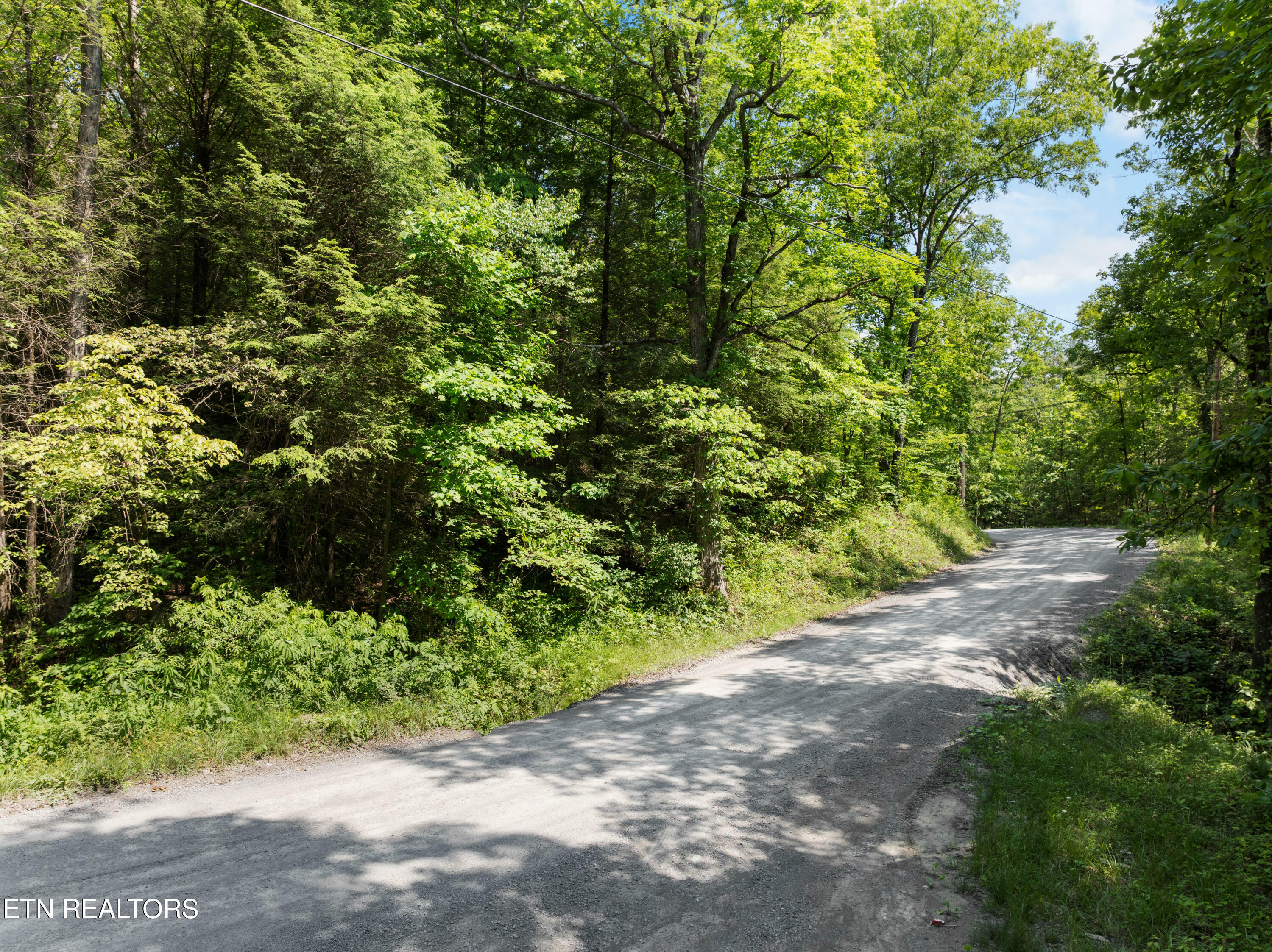 Property Photo: Stinking Creek 61 Acres Rd TN 37847