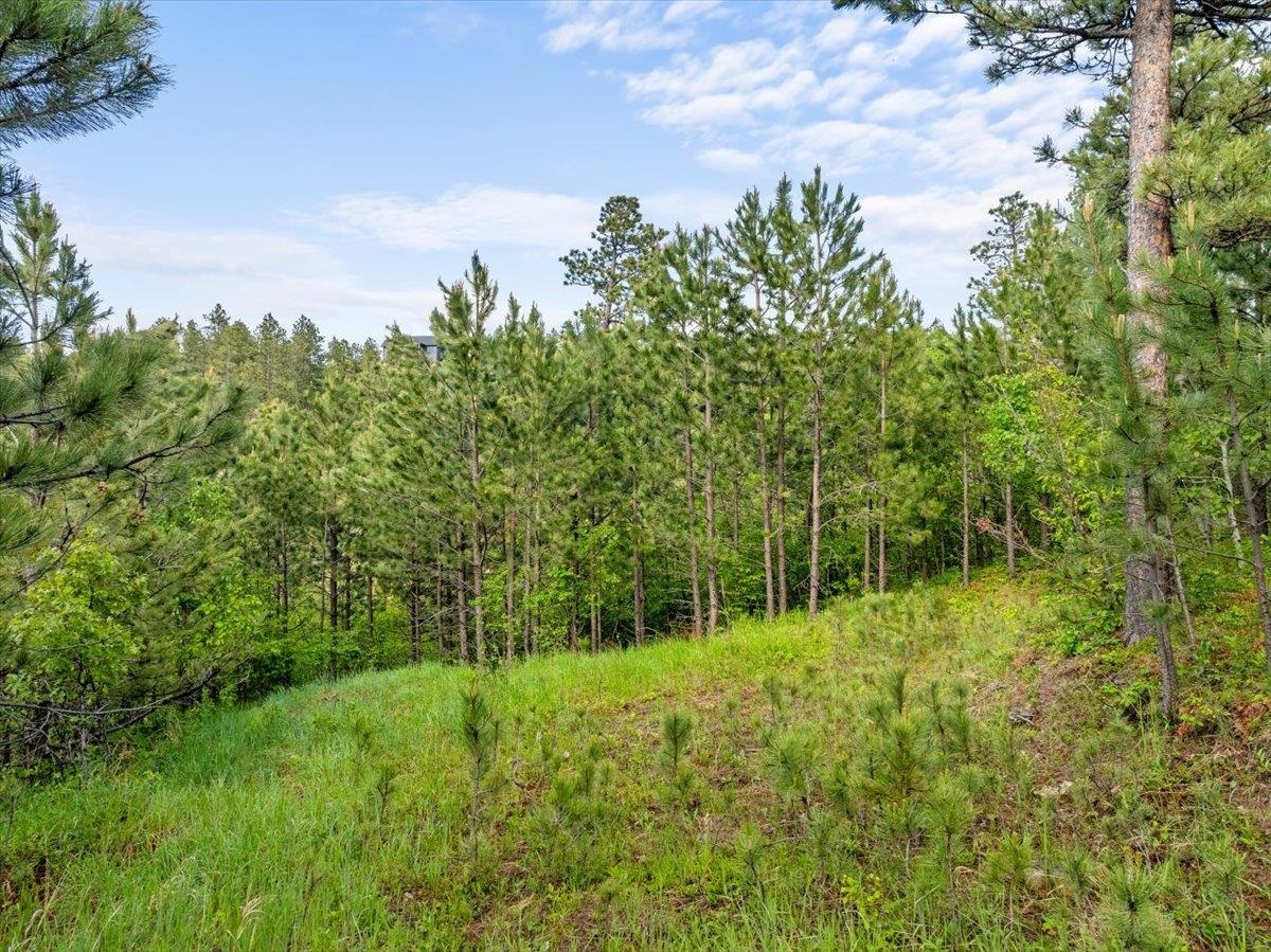 Lot 17 Green Mountain Court  Spearfish SD 57783 photo