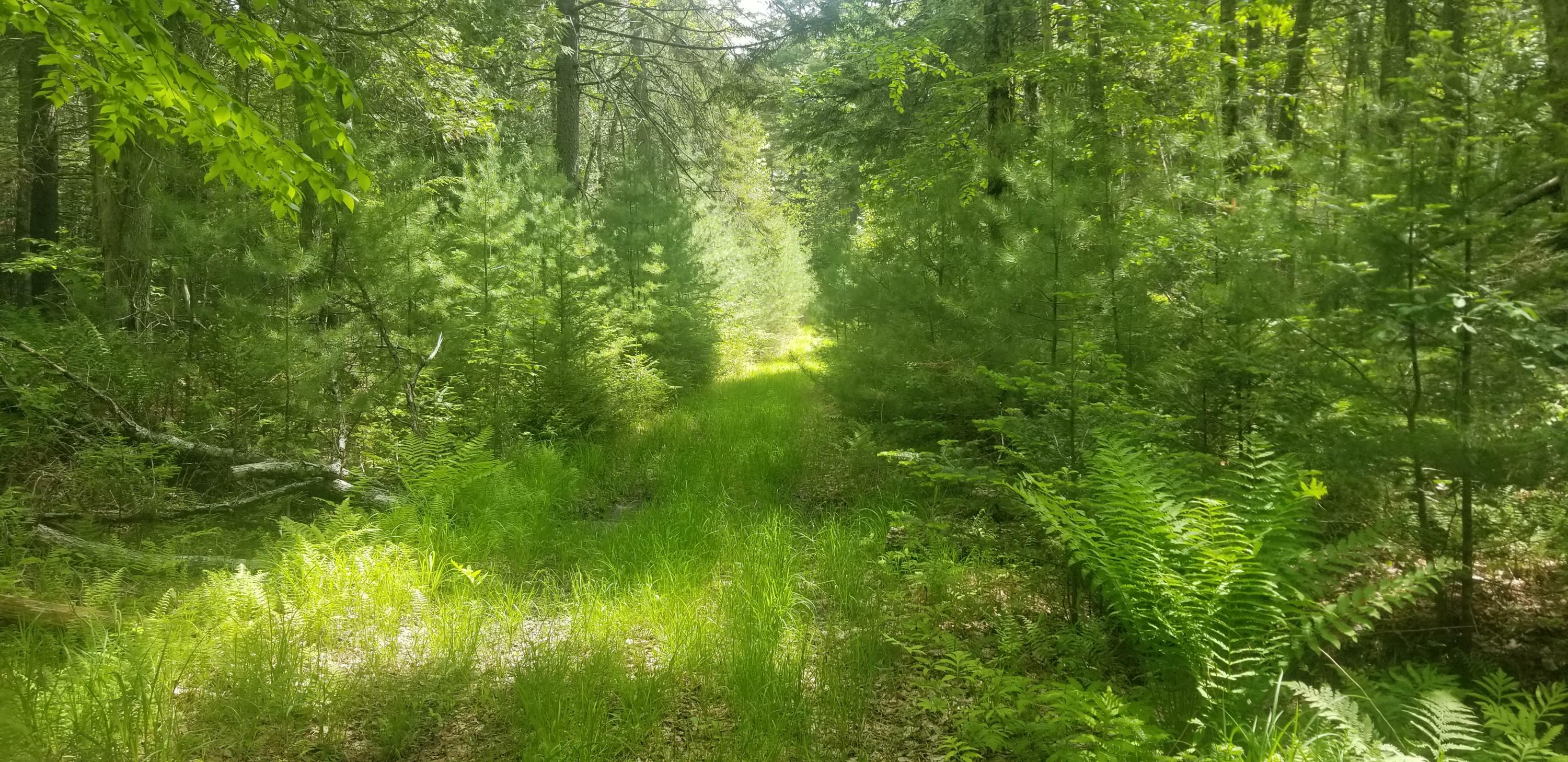 Property Photo:  M13, L36, Harland Cunningham Road  ME 04476 