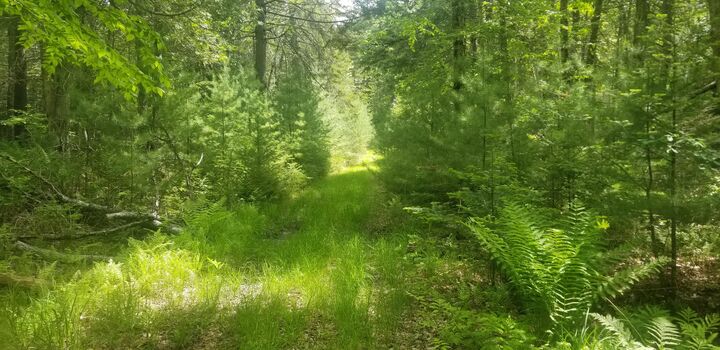 Property Photo: M13, L36, Harland Cunningham Road ME 04476