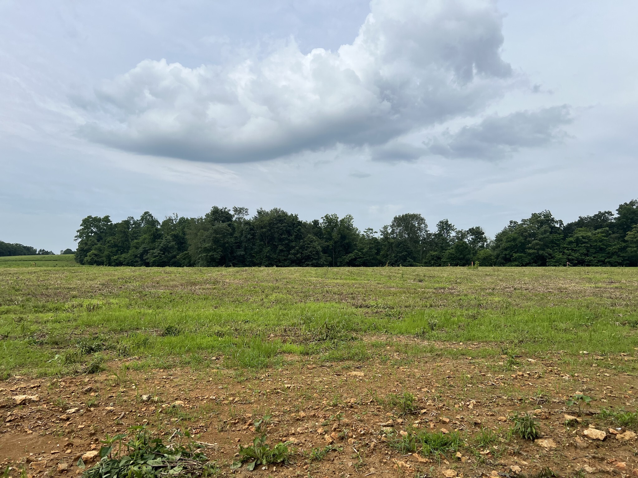 Property Photo:  18 Annie Hollow Rd  TN 37186 