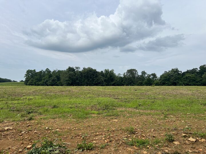 Property Photo:  18 Annie Hollow Rd  TN 37186 