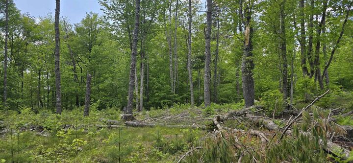 Property Photo:  Lot 24-6 East Clifford Road  NS B4V 7R8 