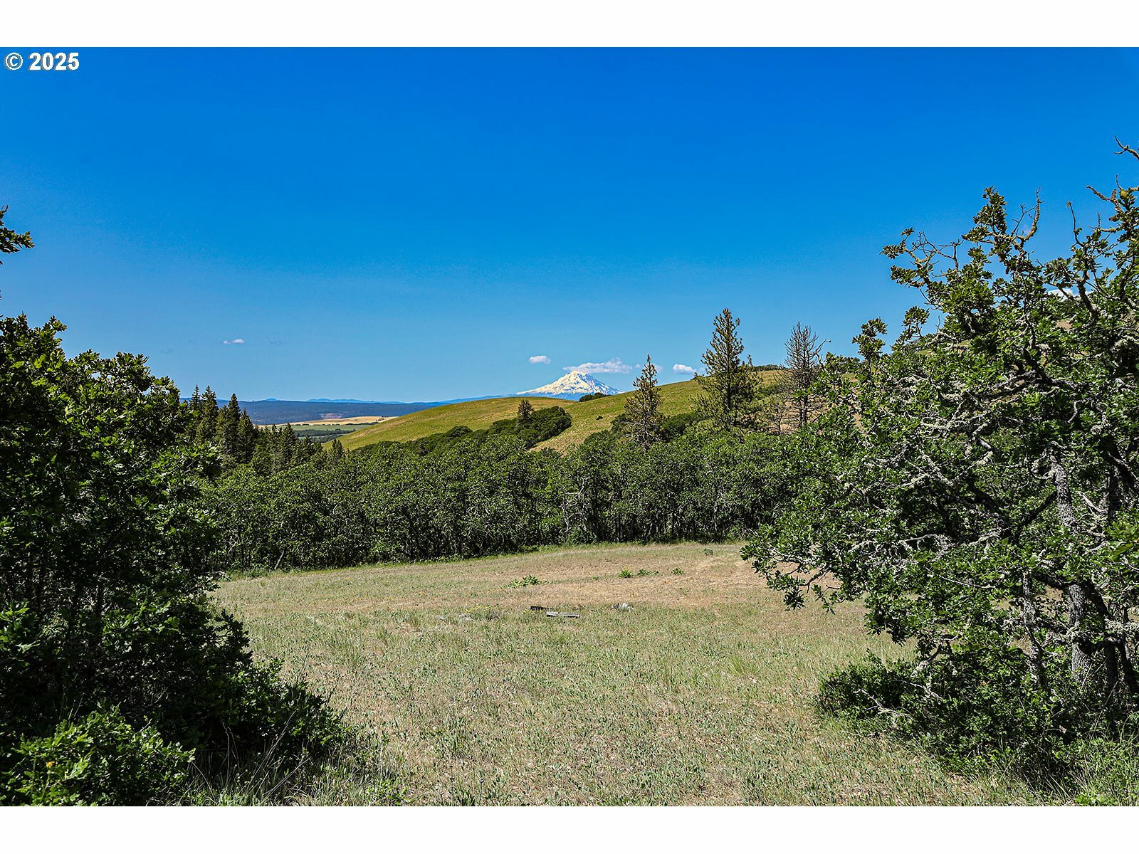 Property Photo: Stacker Butte Rd WA 98635